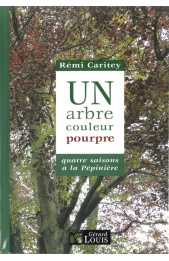 un_arbre_couleur_pourpre_1200463985